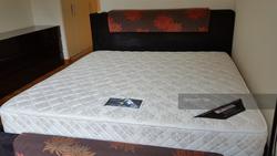 Lakeholmz (D22), Condominium #143507072